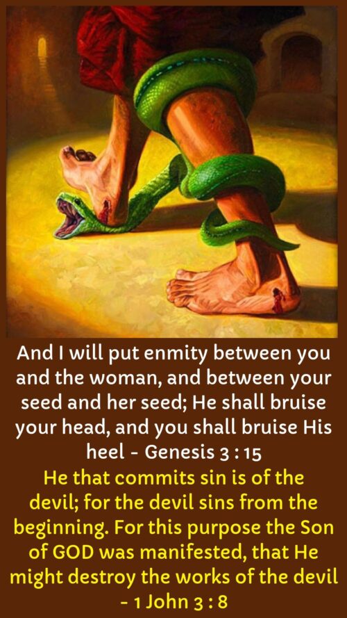 seed-of-woman-seed-of-serpent-enmity